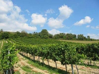 背上行囊，讓心去旅行：全球最吸引人的20個旅游目的地