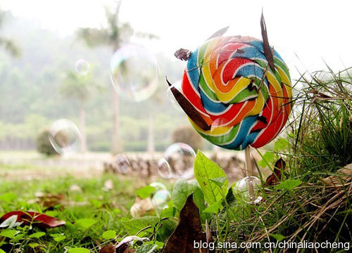 寶島臺灣過新年，體驗臺北平民的時尚生活