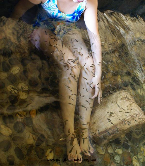 【走遍中國(guó)路景點(diǎn)篇】海南路小魚溫泉 【走遍中國(guó)路景點(diǎn)篇】海南路小魚溫泉