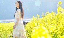 高郵湖湖上花海、鎮(zhèn)國(guó)寺、盂城驛、平津古堰、西堤純玩休閑二日游